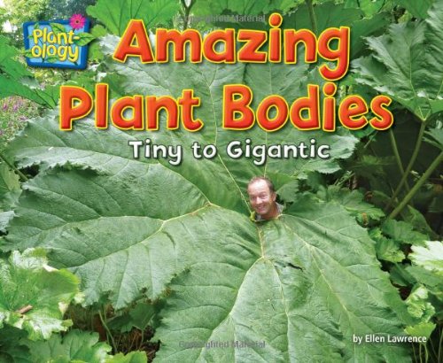 Amazing plant bodies : tiny to gigantic