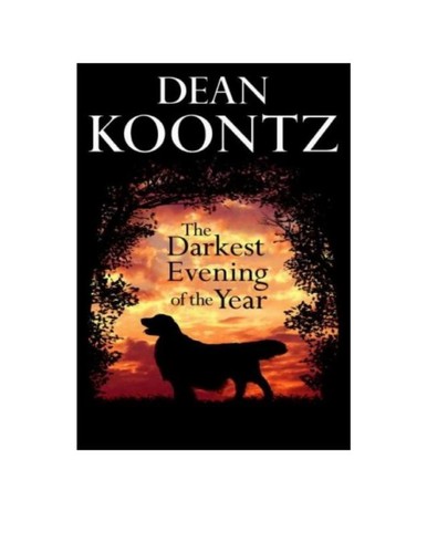 The darkest evening of the year : A Novel.