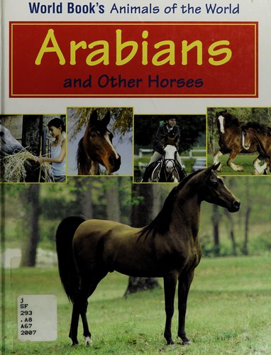 Arabians and other horses