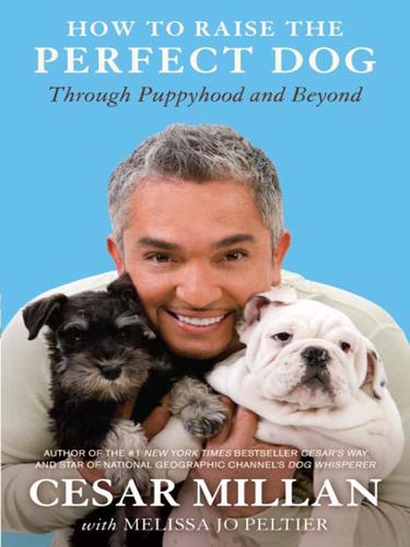 How to raise the perfect dog : Through Puppyhood and Beyond.