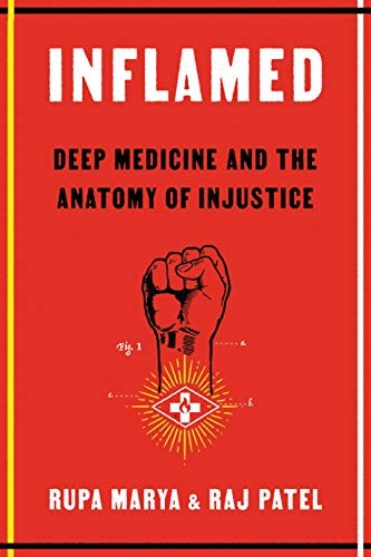 Inflamed : deep medicine and the anatomy of injustice