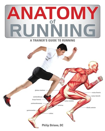 Anatomy of running : a trainer's guide to running