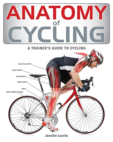 Anatomy of cycling