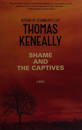 Shame and the captives : a novel